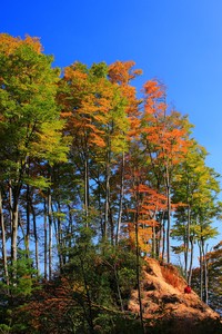 格拉纳达主场迎战皇家社会，战术安排引人关注