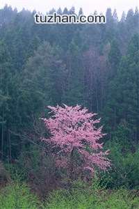 足球解说员最新一期足球主题节目—球迷必看的暖心与震撼